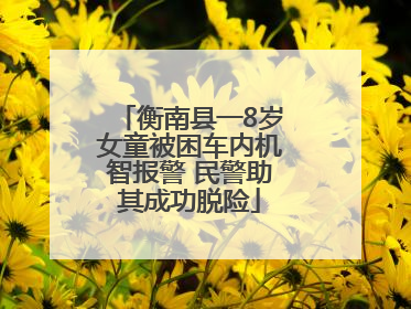 衡南县一8岁女童被困车内机智报警 民警助其成功脱险