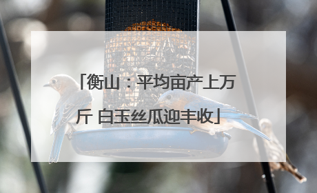 衡山：平均亩产上万斤 白玉丝瓜迎丰收