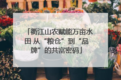 衢江山农赋能万亩水田 从“粮仓”到“品牌”的共富密码