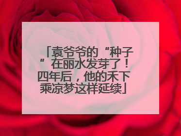 袁爷爷的“种子”在丽水发芽了！四年后，他的禾下乘凉梦这样延续