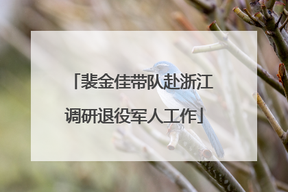 裴金佳带队赴浙江调研退役军人工作