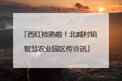 西红柿熟啦！北臧村镇智慧农业园区传喜讯