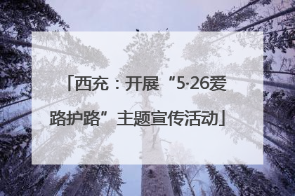 西充：开展“5·26爱路护路”主题宣传活动