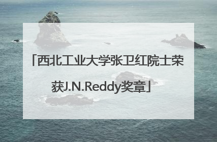 西北工业大学张卫红院士荣获J.N.Reddy奖章