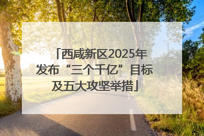 西咸新区2025年发布“三个千亿”目标及五大攻坚举措