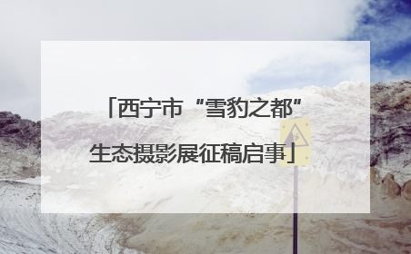 西宁市“雪豹之都”生态摄影展征稿启事