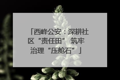 西峰公安：深耕社区“责任田” 筑牢治理“压舱石”