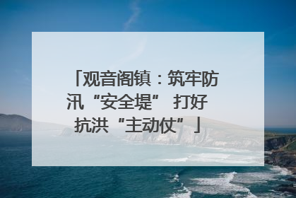 观音阁镇：筑牢防汛“安全堤” 打好抗洪“主动仗”