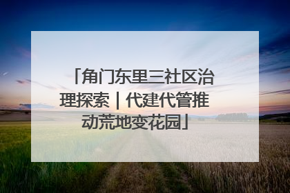 角门东里三社区治理探索｜代建代管推动荒地变花园