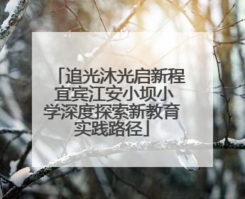 追光沐光启新程 宜宾江安小坝小学深度探索新教育实践路径
