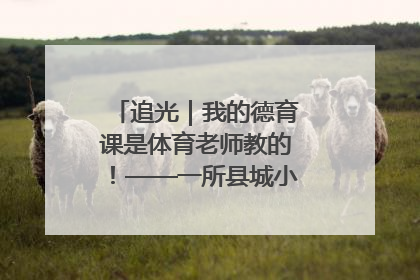 追光｜我的德育课是体育老师教的！——一所县城小学的思政课改革