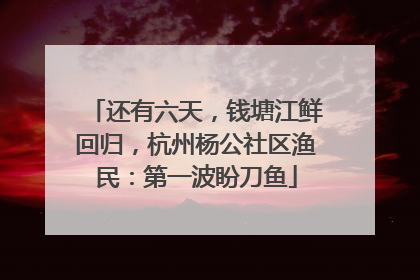 还有六天，钱塘江鲜回归，杭州杨公社区渔民：第一波盼刀鱼