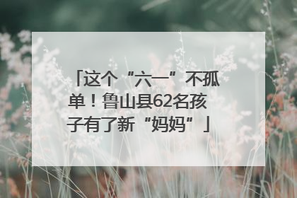 这个“六一”不孤单！鲁山县62名孩子有了新“妈妈”