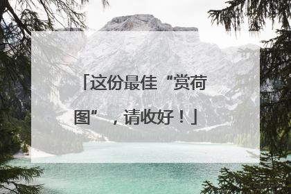 这份最佳“赏荷图”，请收好！