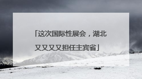 这次国际性展会，湖北又又又又担任主宾省