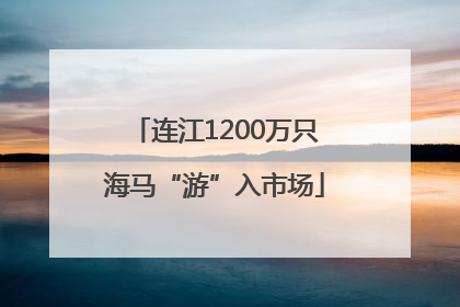 连江1200万只海马“游”入市场