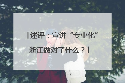 述评：宣讲“专业化” 浙江做对了什么？