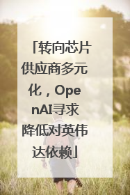 转向芯片供应商多元化，OpenAI寻求降低对英伟达依赖