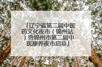 辽宁省第二届中医药文化夜市（锦州站）暨锦州市第二届中医康养夜市启幕