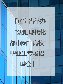 辽宁省举办“沈阳现代化都市圈”高校毕业生专场招聘会