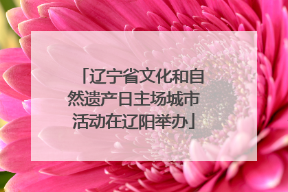 辽宁省文化和自然遗产日主场城市活动在辽阳举办