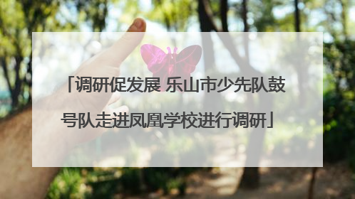 调研促发展 乐山市少先队鼓号队走进凤凰学校进行调研