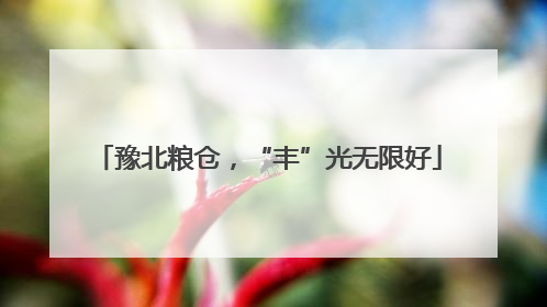 豫北粮仓，“丰”光无限好