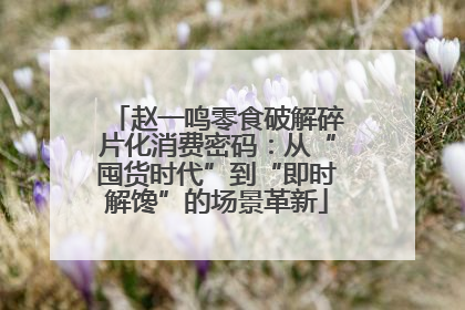 赵一鸣零食破解碎片化消费密码：从“囤货时代”到“即时解馋”的场景革新