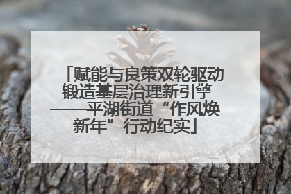 赋能与良策双轮驱动 锻造基层治理新引擎——平湖街道“作风焕新年”行动纪实