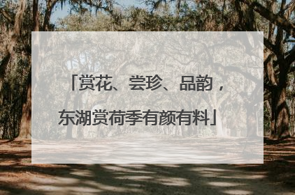 赏花、尝珍、品韵，东湖赏荷季有颜有料