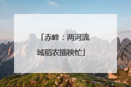 赤峰：两河流域稻农插秧忙