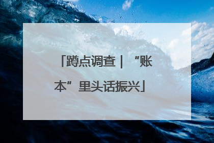 蹲点调查｜“账本”里头话振兴