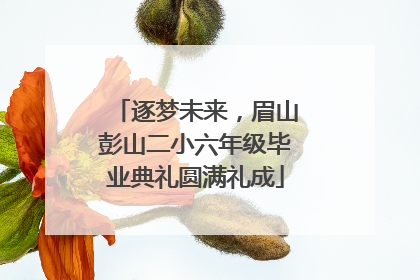 逐梦未来，眉山彭山二小六年级毕业典礼圆满礼成