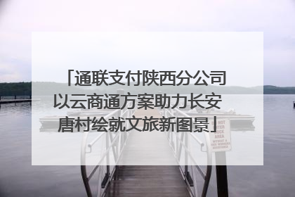 通联支付陕西分公司以云商通方案助力长安唐村绘就文旅新图景