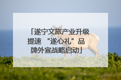 遂宁文旅产业升级提速 “遂心礼”品牌外宣战略启动