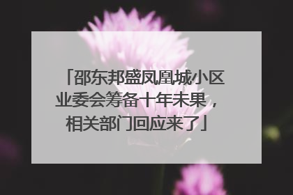 邵东邦盛凤凰城小区业委会筹备十年未果，相关部门回应来了