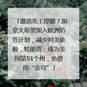 邀请英王撑腰？加拿大希望加入欧洲防务计划，减少对美依赖，特朗普：成为美国第51个州，免费用“金穹”