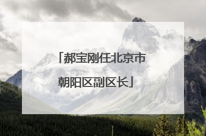 郝宝刚任北京市朝阳区副区长