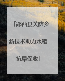 郧西县关防乡新技术助力水稻抗旱保收