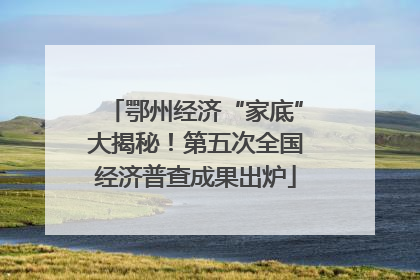 鄂州经济“家底”大揭秘！第五次全国经济普查成果出炉