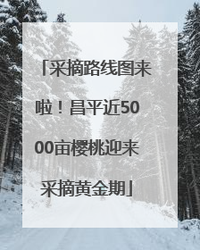 采摘路线图来啦！昌平近5000亩樱桃迎来采摘黄金期