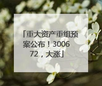 重大资产重组预案公布！300672，大涨