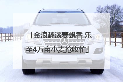 金浪翻滚麦飘香 乐至4万亩小麦抢收忙