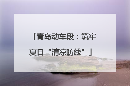 青岛动车段：筑牢夏日“清凉防线”
