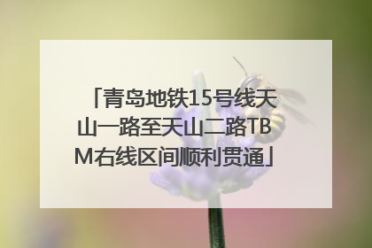 青岛地铁15号线天山一路至天山二路TBM右线区间顺利贯通