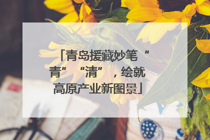 青岛援藏妙笔“青”“清”，绘就高原产业新图景
