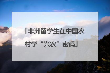 非洲留学生在中国农村学“兴农”密码