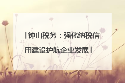 钟山税务：强化纳税信用建设护航企业发展