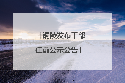 铜陵发布干部任前公示公告