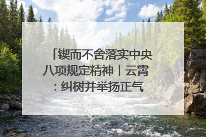 锲而不舍落实中央八项规定精神丨云霄：纠树并举扬正气 作风建设谱新章